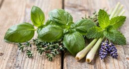 gentle energizing herbal remedies