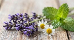 gentle herbs for restoration