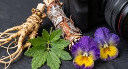 herb parts and their significance