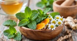 herbal aid for athletes