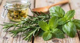 herbal energy for focus