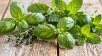herbal morning energy boost