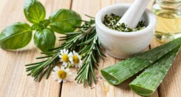 herbal remedies for aging