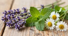 herbal remedies for stress