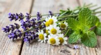 herbal remedies for stress