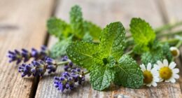 herbal remedies for stressed skin