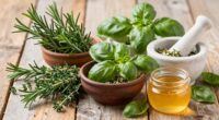 herbal support for aging