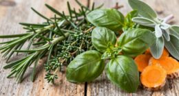 herbal support for aging