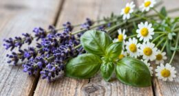 herbs for emotional balance