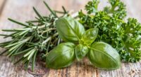 herbs for healthy aging