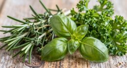 herbs for healthy aging