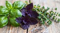 herbs for inflammation relief