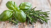 herbs for stability and balance