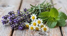 herbs for stress relief