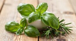 herbs to boost vitality