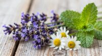 soothing herbs for stress