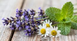 soothing herbs for stress