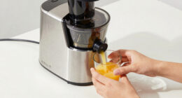11 Best Commercial Style Home Juicer in 2026