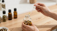 9 Best Herbal Aromatherapy Diffusers in 2026
