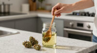 Cannabis Users Face Substantially Higher Risk Of Heart Attack (2025)