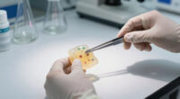 Bioengineered Chewing Gum May Offer A Way To Fight HPV And Other Microbes