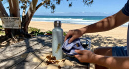 Coogee Ranks As Sydney’s Worst Ocean Beach For Faecal Pollution – Again - The Guardian